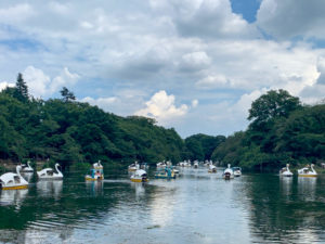 【井の頭公園】吉祥寺からアクセスできる自然豊かな散歩コースのご紹介
