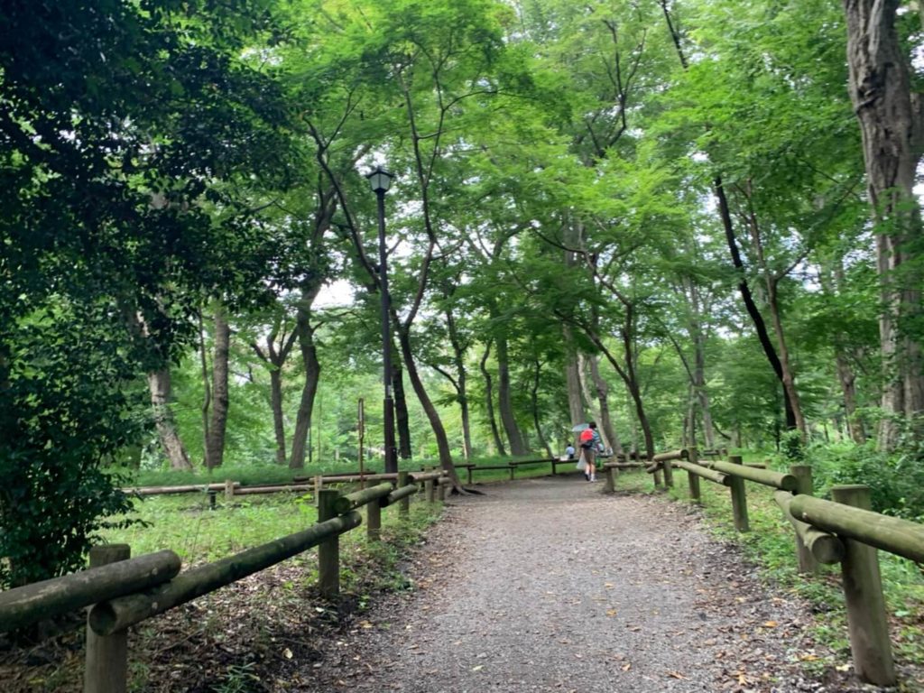 井の頭公園 吉祥寺からアクセスできる自然豊かな散歩コースのご紹介
